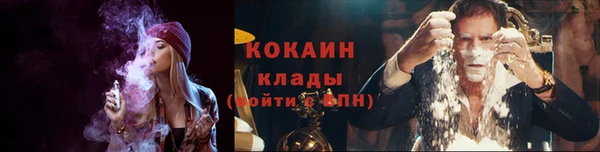 ГАЛЛЮЦИНОГЕННЫЕ ГРИБЫ Лагань