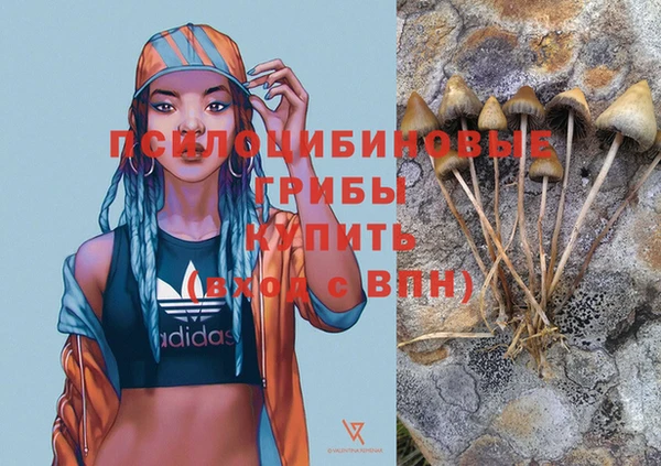 кокаин премиум Алексеевка