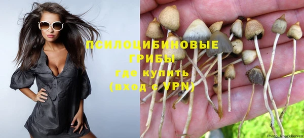 прущие крисы Алзамай
