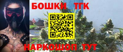 СК Пушкино