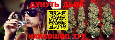 СК Пушкино