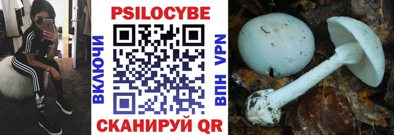 shop какой сайт  Пермь  Галлюциногенные грибы Cubensis 